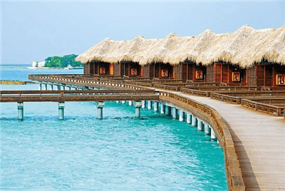 10 найкращих виробників машин для піддонів у Південно-Східній Азії 2026